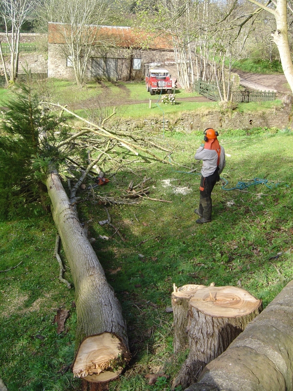 11th April 2009 038